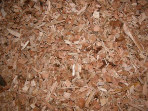 Palladuc_plaquettes_forestieres_0807_GF_2_792x594