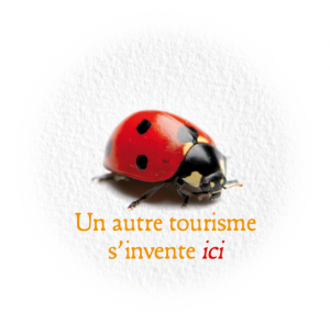 coccinelleun-autre-tourismet