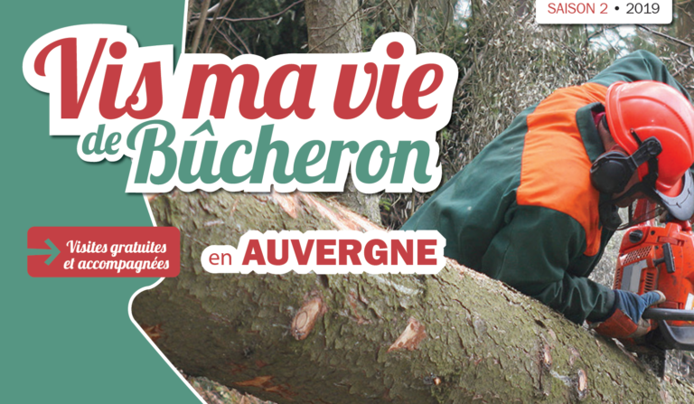 Adjectif Relatif à L Exploitation De La Forêt