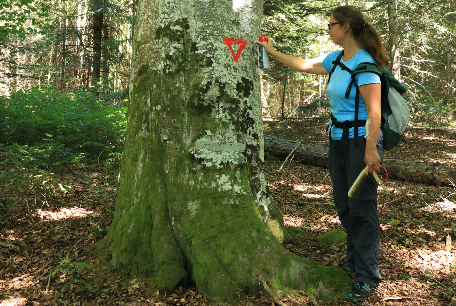 parc naturel régional livradois forez